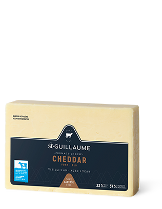 Cheddar fort 1 an bloc de 400 g