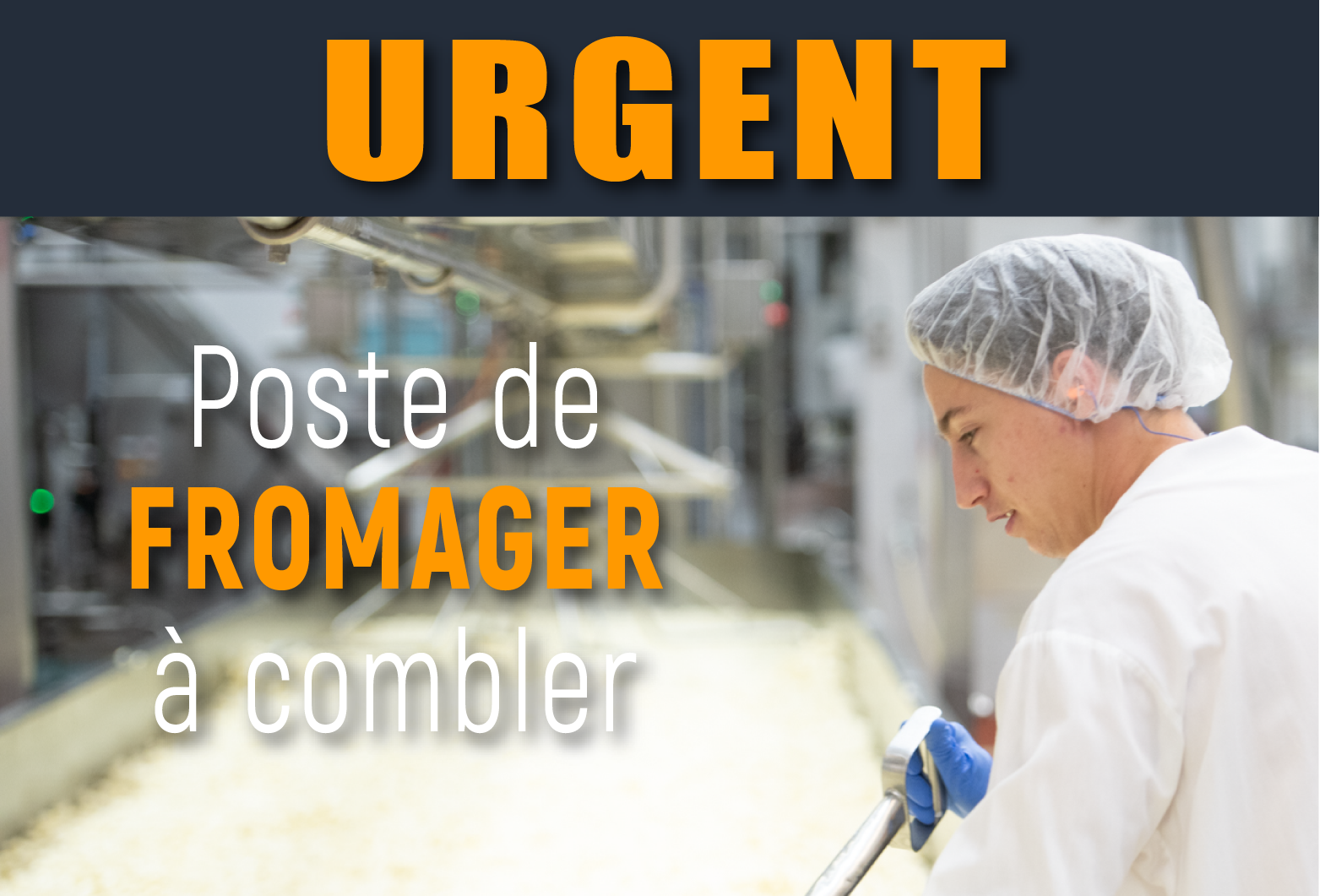 Urgent - Fromager recherché